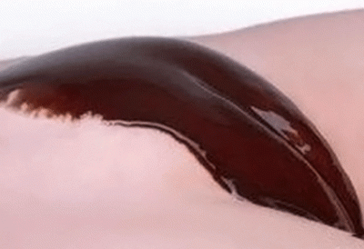 20070603114523-rellena-de-chocolate-copia.gif